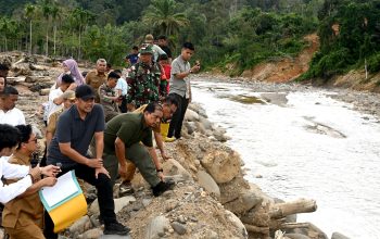 Gandeng Aparat Penegak Hukum, Pemprovsu Perkuat Penertiban Tambang Ilegal