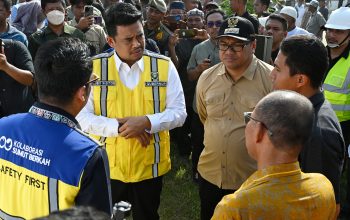 Sumut