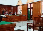 Korupsi Kayu Agropolitan Siosar