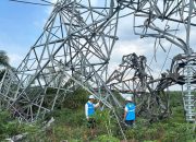 PLN