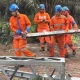 PLN Sumut