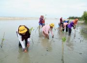 Mangrove Kampoeng Nipah Wisata Edukasi Berbasis Lingkungan