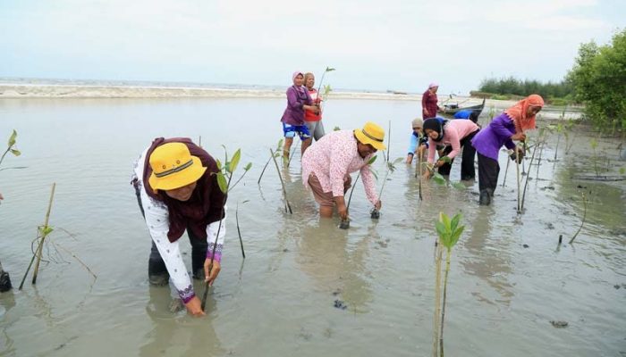 Mangrove Kampoeng Nipah Wisata Edukasi Berbasis Lingkungan