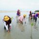 Mangrove Kampoeng
