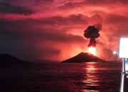 Aktivitas Anak Gunung Krakatau Meningkat, Berikut Fakta Sejarah Letusan dan Tsunami yang Pernah Terjadi