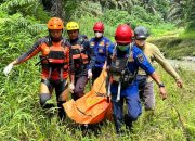 Sumut